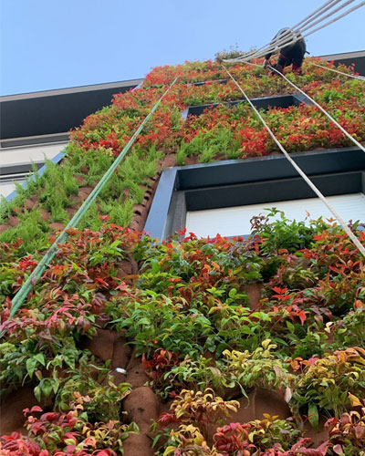 giardini_verticali